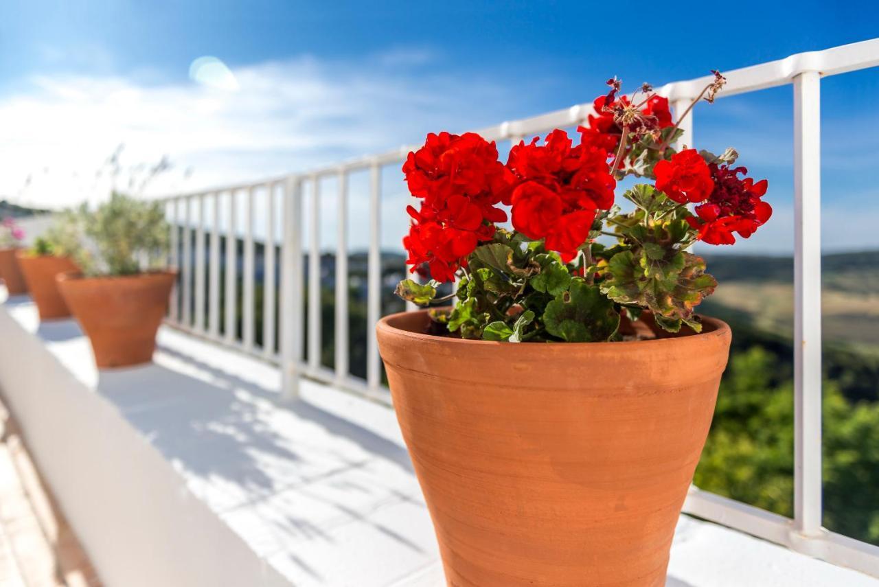 Country house Casa Boutique Encalada Vejer de la Frontera